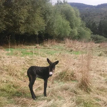 Rurales Casa Do Cabo Vega de Logares