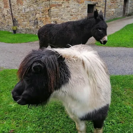 Lantställe Rurales Casa Do Cabo *