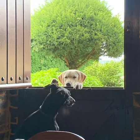 Rurales Casa Do Cabo Lantställe Vega de Logares